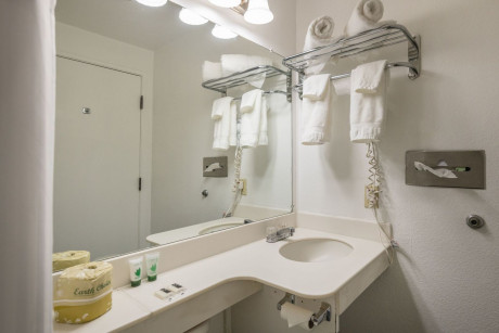 Travel Inn Sunnyvale - Bathroom