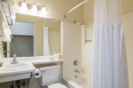 Travel Inn Sunnyvale - Bathroom